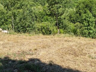  Terrain à vendre 1 pièce 1000 m²