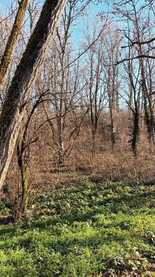  Terrain � vendre 1 pi�ce 5516 m�