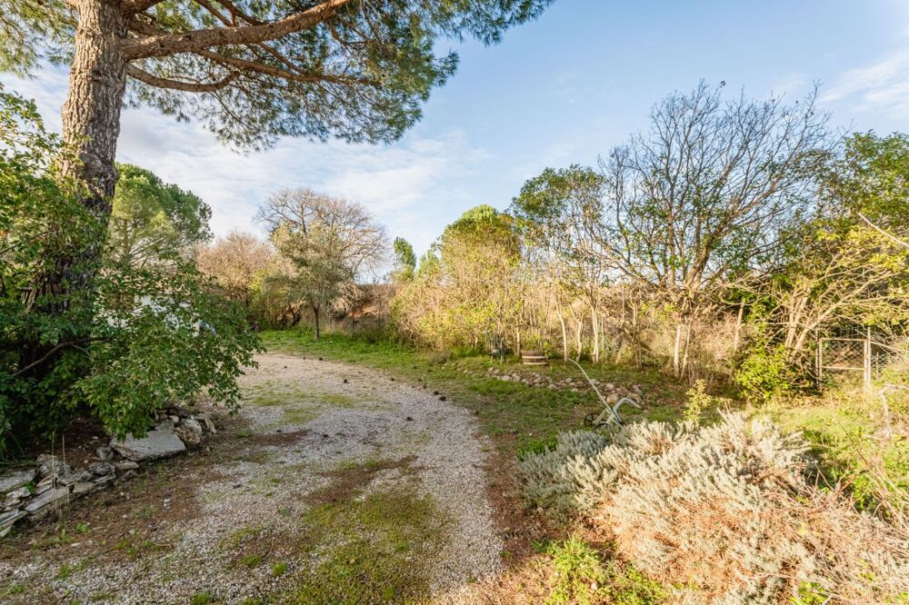 Vente Terrain Terrain constructible Paulhan
