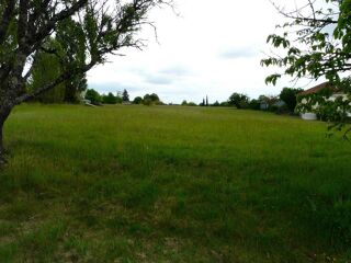 Terrain à vendre 1 pièce 4337 m²