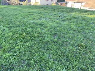  Terrain � vendre 1 pi�ce 644 m�