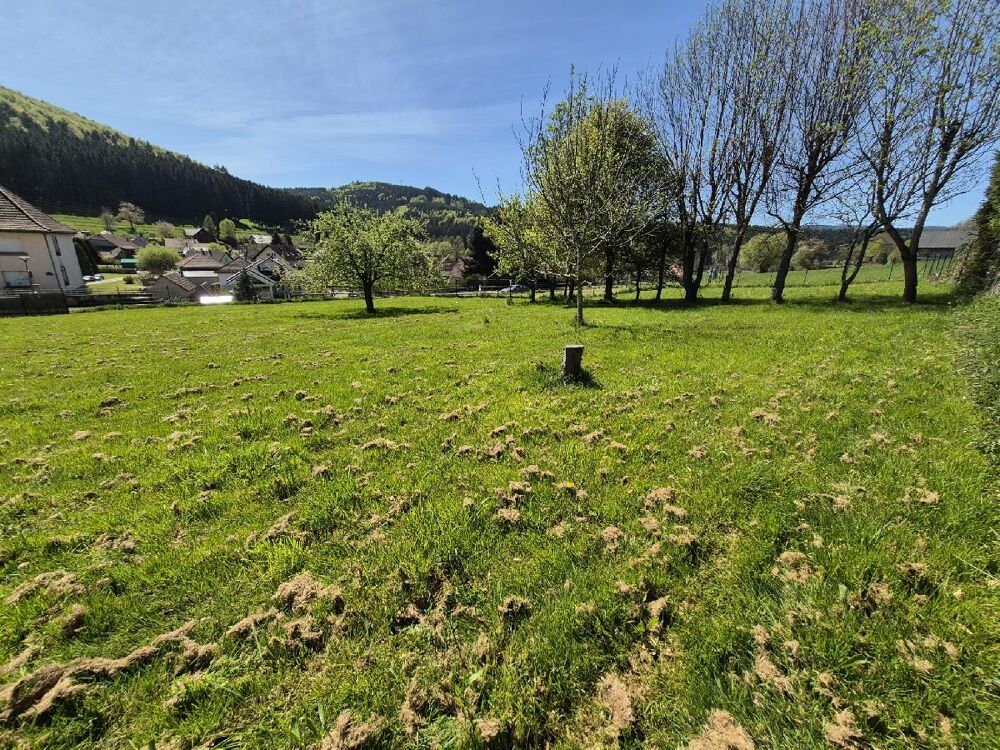 Vente Terrain Terrain Colroy la roche