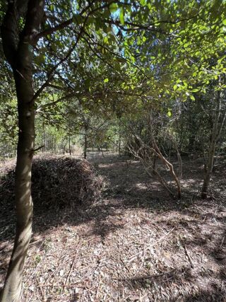  Terrain � vendre 1 pi�ce 3210 m�