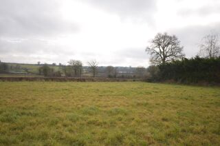  Terrain  vendre 1 pice 1637 m