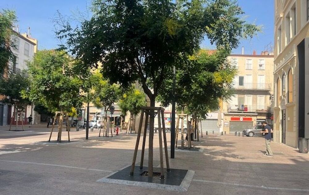 3 Pièces avec locataire