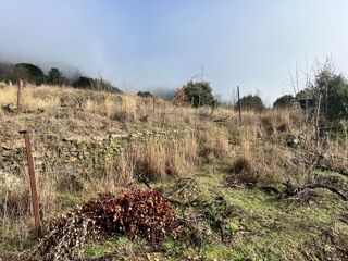  Terrain � vendre 1 pi�ce 10545 m�