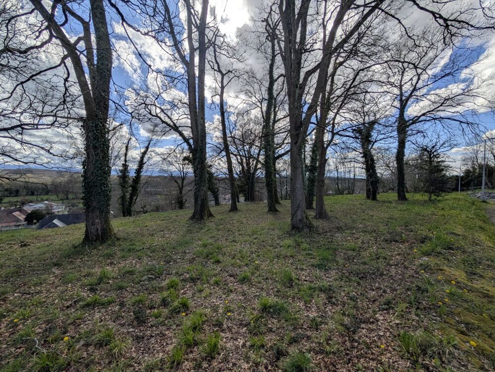 Vente Terrain Terrain Haut de Lee Lee