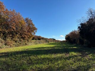  Terrain à vendre 1 pièce 16500 m²