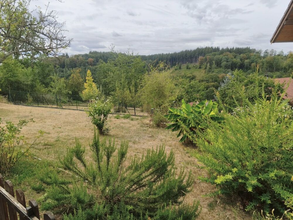Vente Maison Maison Au calme Lambach