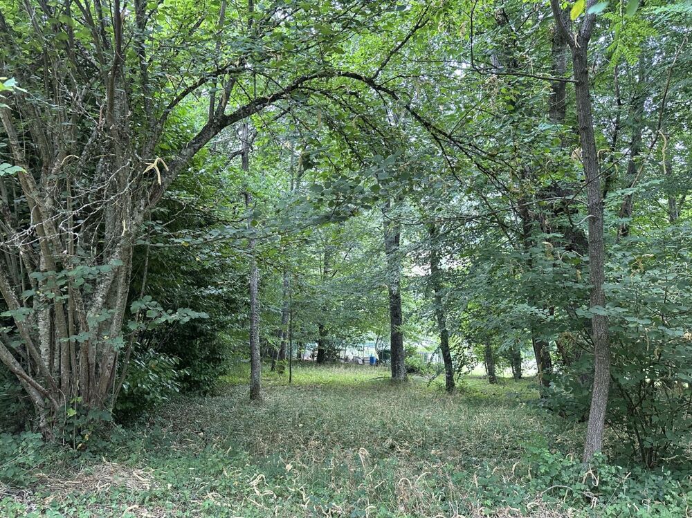 Vente Maison Maison Saurat