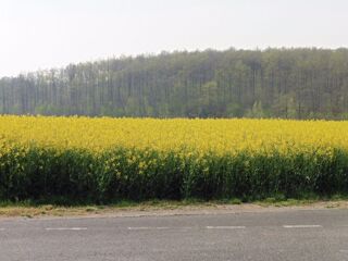  Terrain � vendre 1 pi�ce 1200 m�