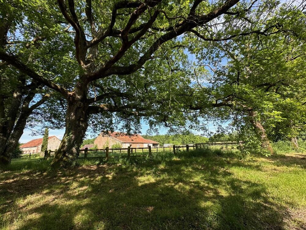  vendre  Maison Villemurlin (45600)