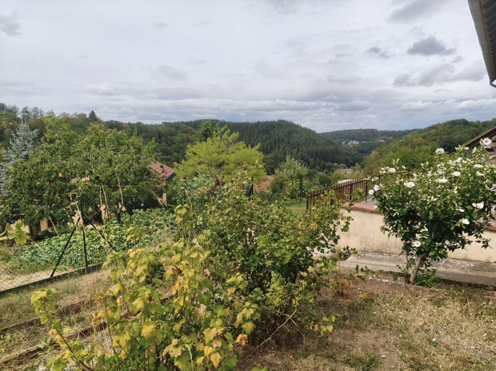 Vente Maison Maison Lambach