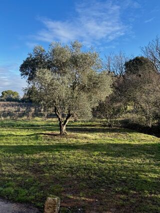  Maison � louer 7 pi�ces 136 m�