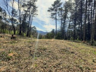  Terrain  vendre 1 pice 4100 m