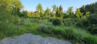  Terrain à vendre 1 pièce 263 m²