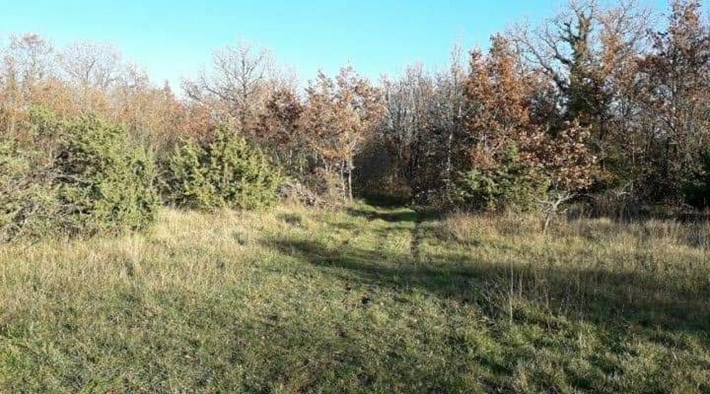 � vendre  Maison La Roche-Chalais (24490)