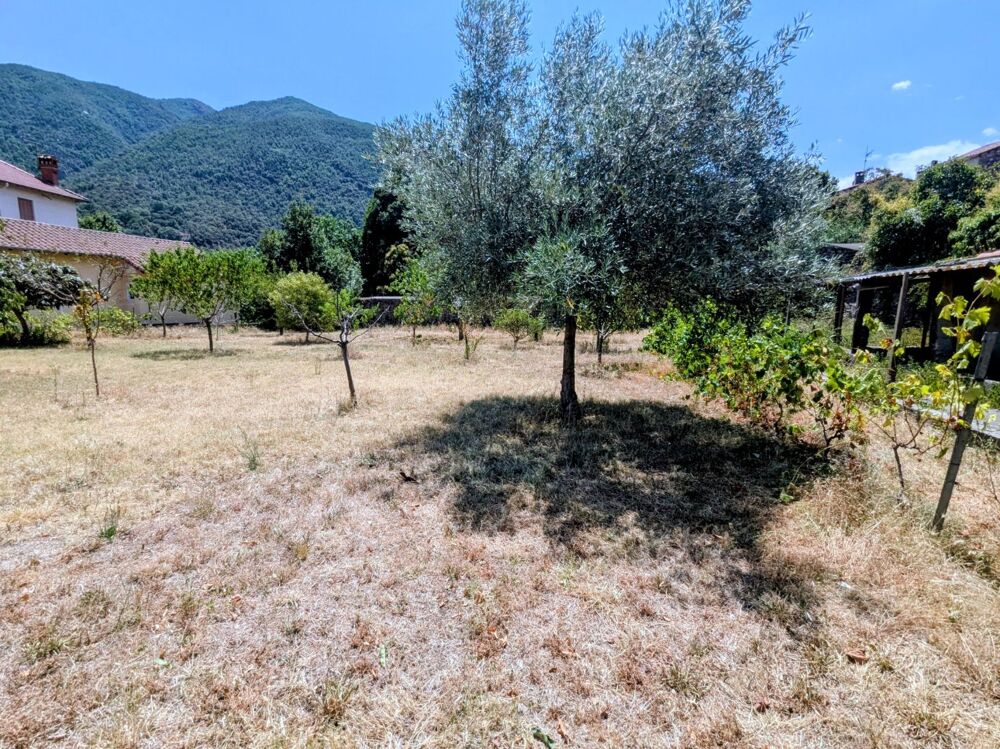 Vente Terrain Terrain plat et arboré Arles sur tech