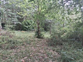  Terrain à vendre 1 pièce 22530 m²