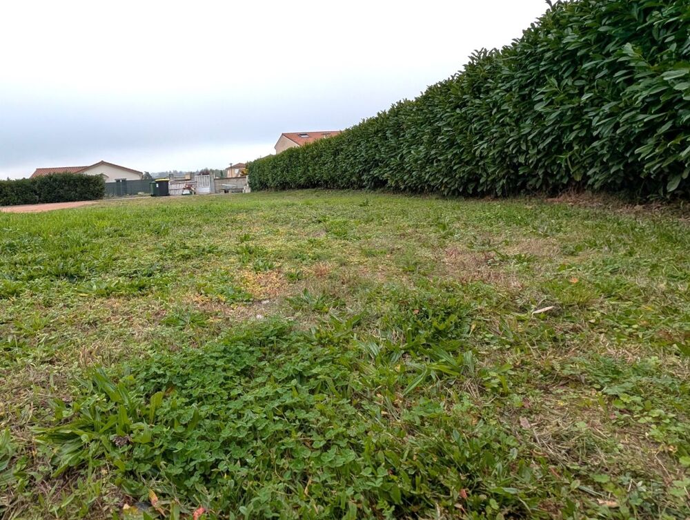 Vente Terrain Terrain Balbigny
