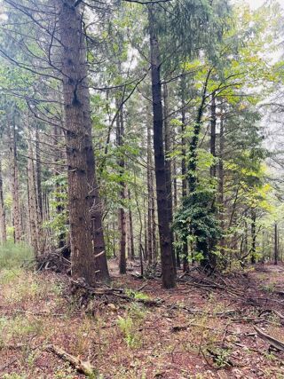  Terrain � vendre 1 pi�ce 16280 m�