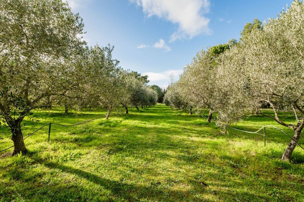 � vendre  Maison B�ziers (34500)