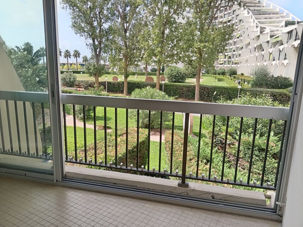 Vente Appartement Studio La grande motte