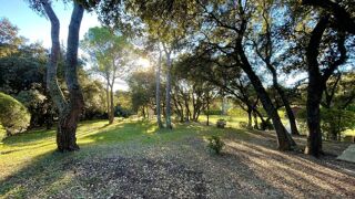  Terrain à vendre 1 pièce 4220 m²