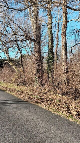  Terrain � vendre 1 pi�ce 5516 m�