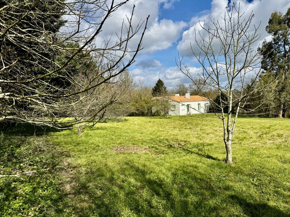 Maison 3ch avec 15.000 m2 de terrain