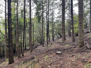  Terrain � vendre 1 pi�ce 16280 m�