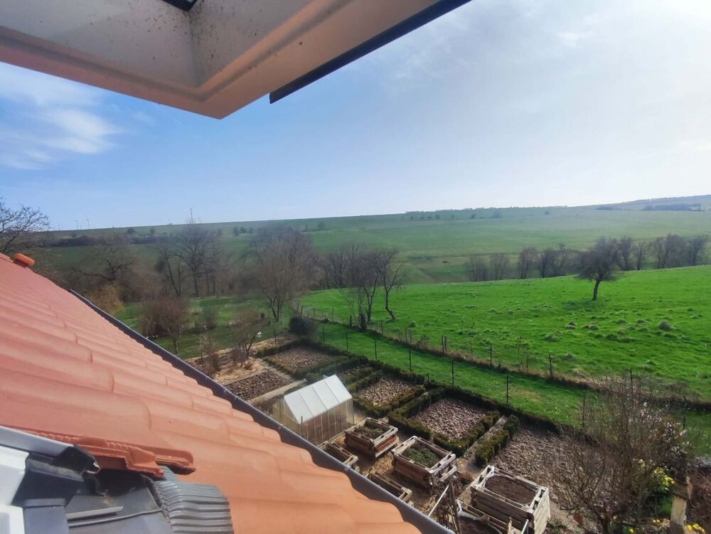 Vente Maison Maison Rolbing
