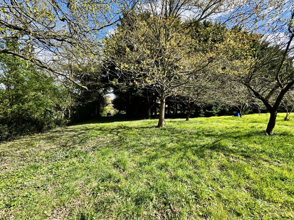 Maison 3ch avec 15.000 m2 de terrain