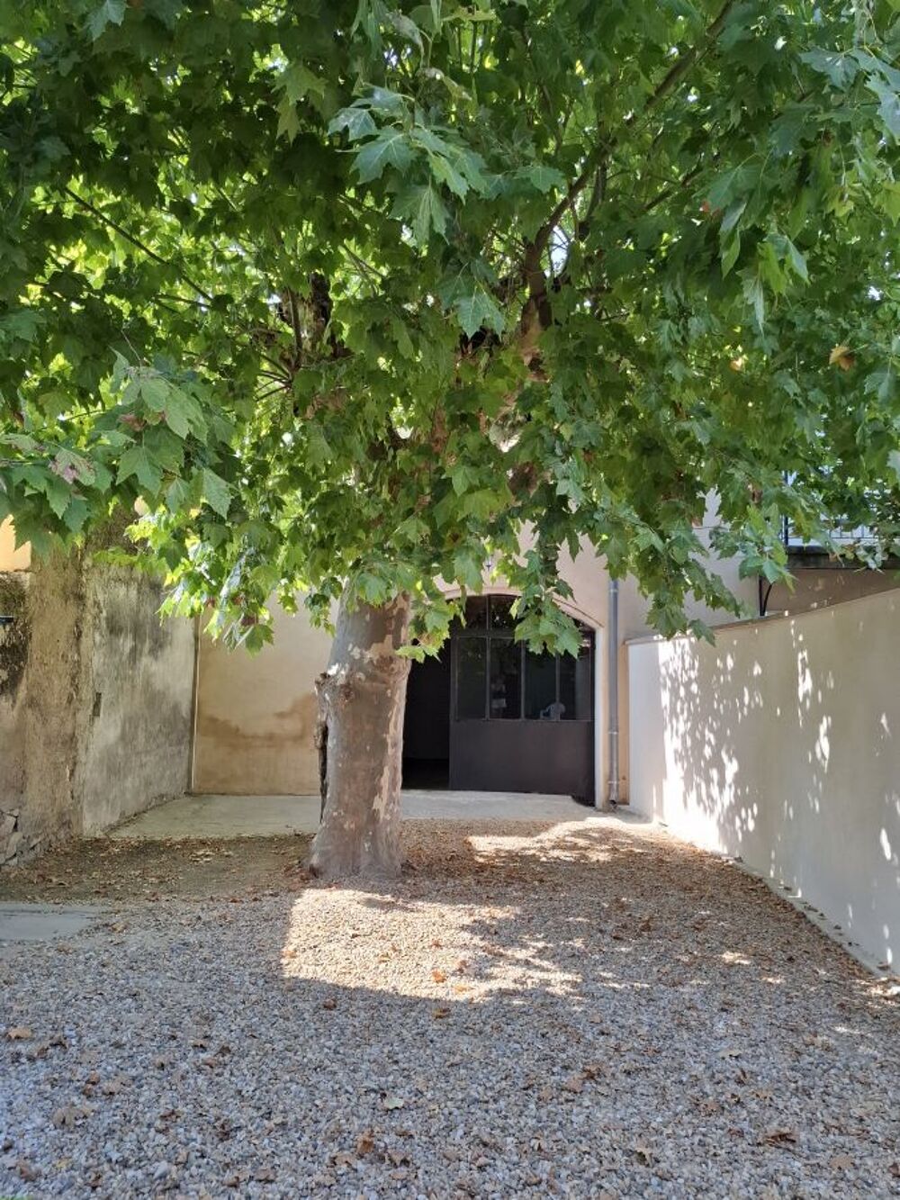 Location Maison Maison Meublée T2 avec mezzanine Milhaud