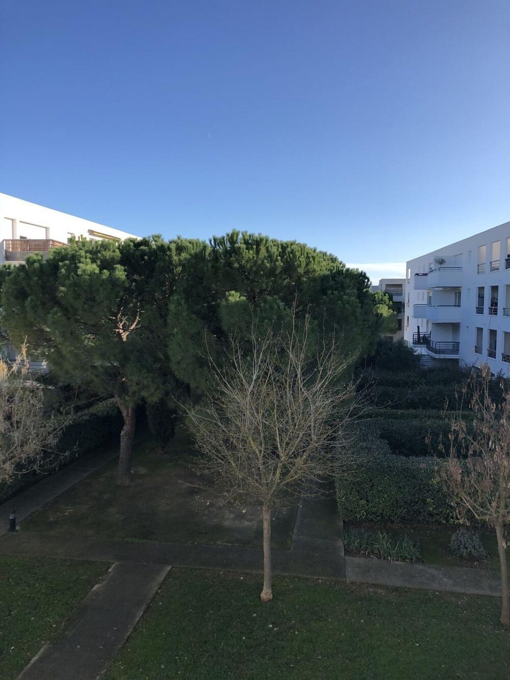 Location Appartement Studio Montpellier