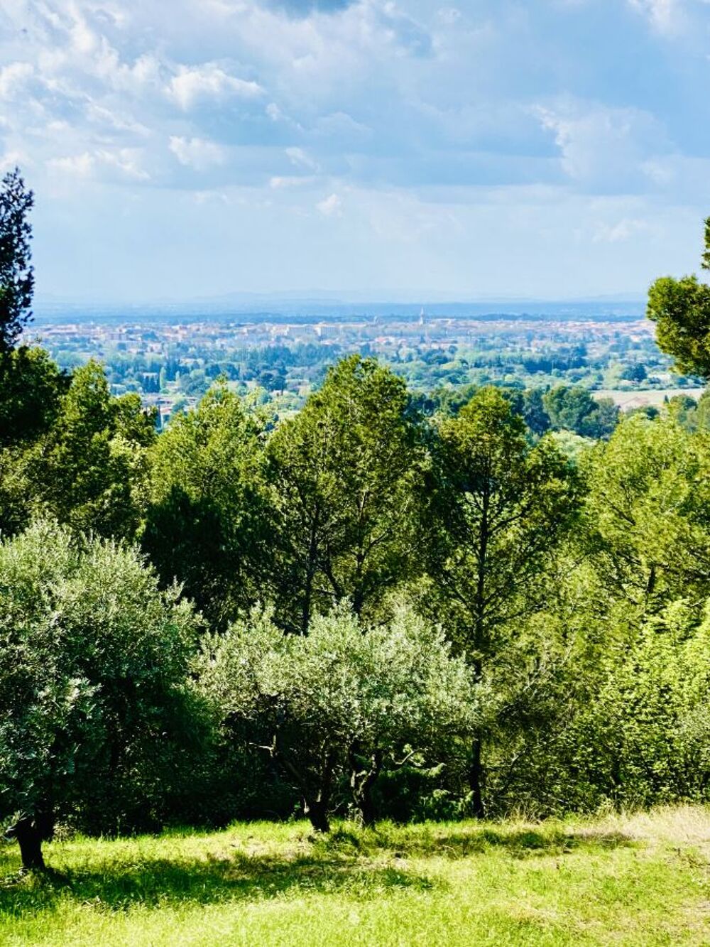 � vendre  Maison Carpentras (84200)