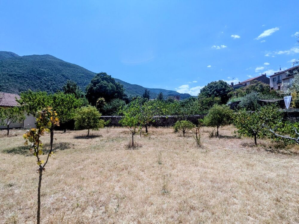 Vente Maison Maison Beau potentiel Arles sur tech