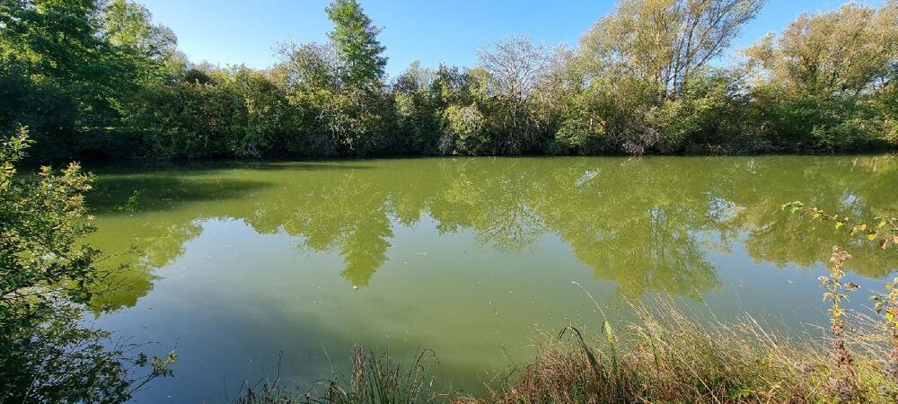 Vente Terrain Terrain Cuy