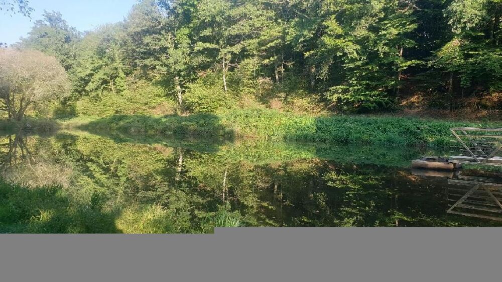 Vente Terrain Terrain Saint leonard de noblat