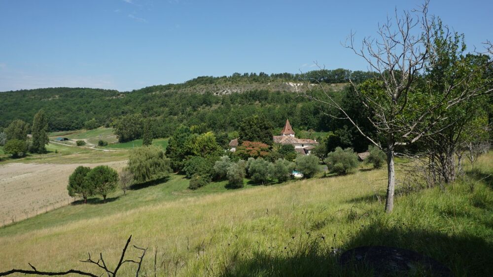 Vente Maison Propriété d'ancien vigneron Sauveterre