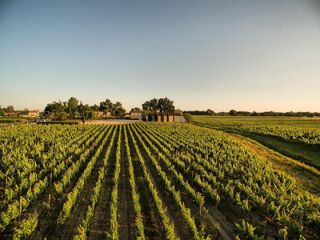  Maison � vendre 15 + pi�ces 600 m�