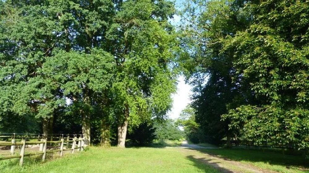  vendre  Maison Villemurlin (45600)