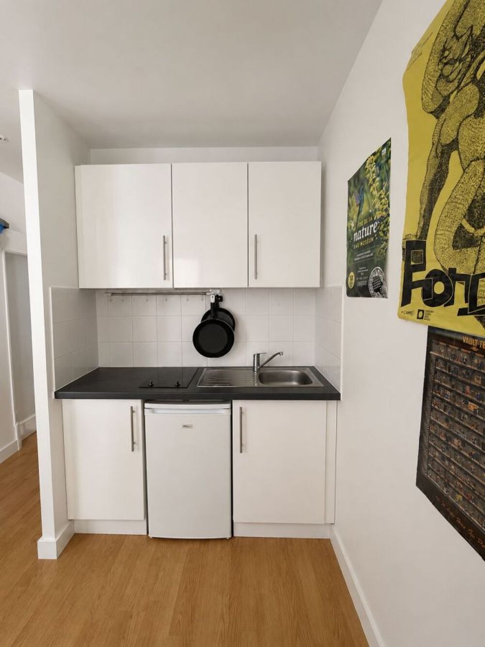 Location Appartement 1 Pièce Paris 15