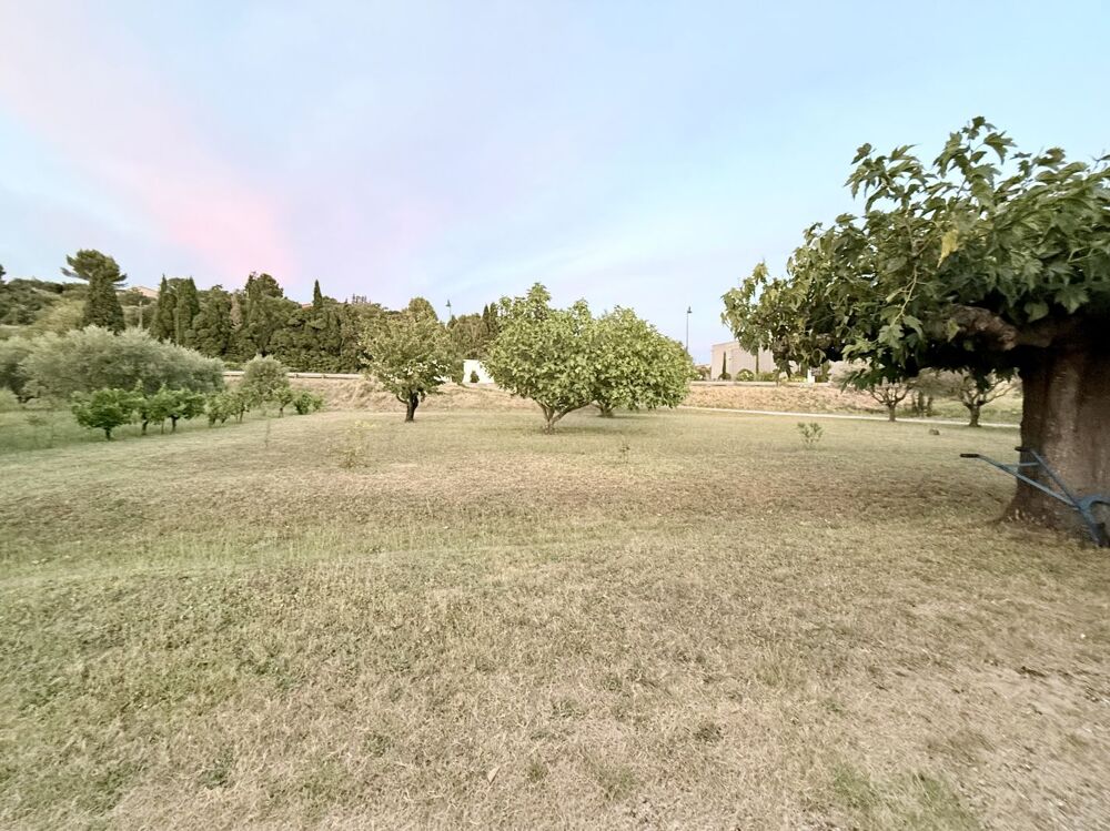Vente Terrain Terrain Constructible Vacqueyras