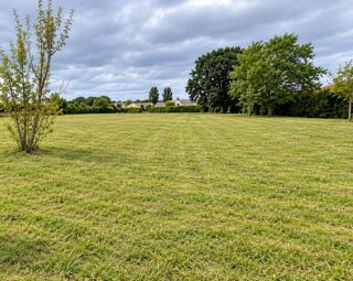  Terrain à vendre 1 pièce 1190 m²