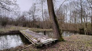  Terrain � vendre 1 pi�ce 5000 m�