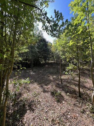  Terrain � vendre 1 pi�ce 3210 m�