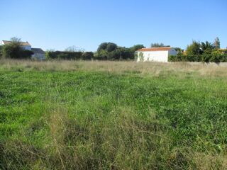  Terrain � vendre 1 pi�ce 537 m�