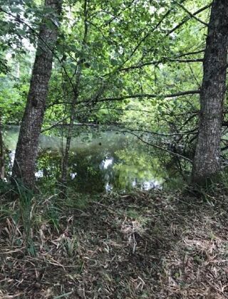  Maison  vendre 4 pices 137 m