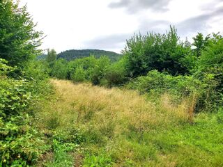  Terrain � vendre 1 pi�ce 890 m�